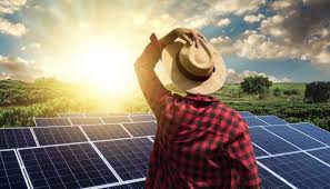 Agricultor contemplando usina solar ao pôr do sol